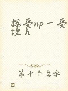 总受np一受多攻 h