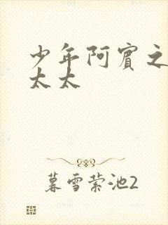 少年阿宾之房东太太