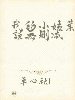 我的小姨叶凡小说无删减