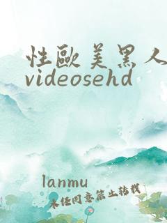性欧美黑人极品videosehd