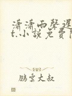 潇潇雨声迟txt.小说免费阅读