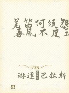 羌笛何须怨杨柳 春风不度玉门关修辞