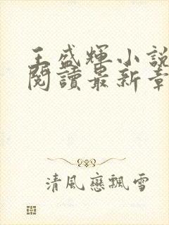 王盛辉小说免费阅读最新章节更新