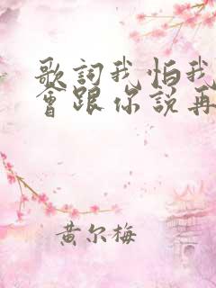 歌词我怕我没机会跟你说再见求歌名