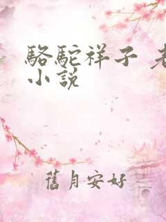 骆驼祥子 老舍小说