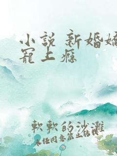小说 新婚娇妻宠上瘾
