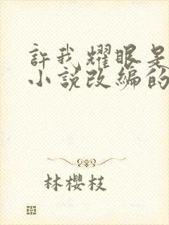 许我耀眼是什么小说改编的