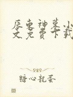 辰东神墓小说全文免费下载