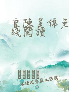 良陈美锦免费在线阅读