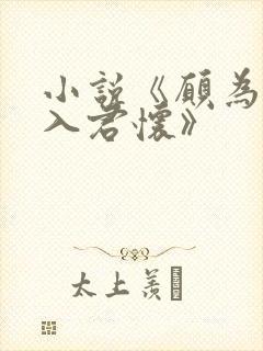 小说《愿为南风入君怀》