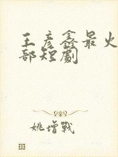 王彦鑫最火的十部短剧