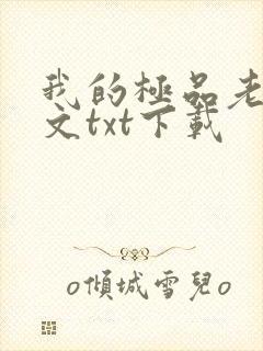 我的极品老婆全文txt下载