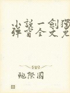 小说一剑独尊无弹窗全文免费阅读