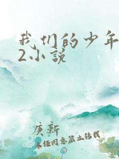 我们的少年时代2小说