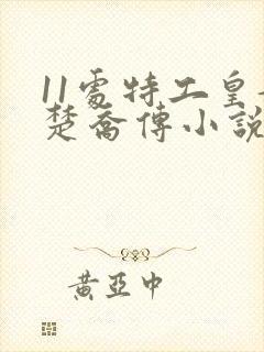 11处特工皇妃楚乔传小说免费