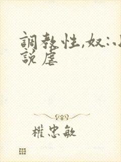 调教性,奴:小说虐