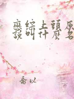 恋综上头原著小说叫什么名字