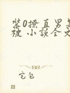 装0撩直男是会被 小说全文免费阅读