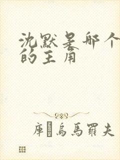 沈默是哪个小说的主角