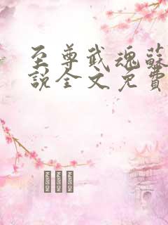 至尊武魂苏莫小说全文免费阅读