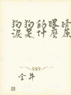 狗狗的眼睛流眼泪是什么原因