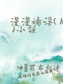 漫漫娇淫( h )小说