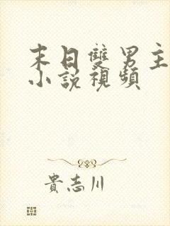 末日双男主病娇小说视频