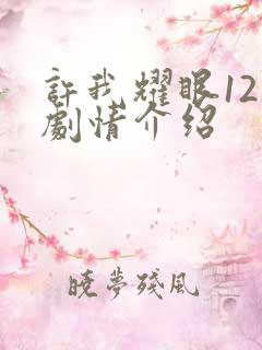 许我耀眼12集剧情介绍