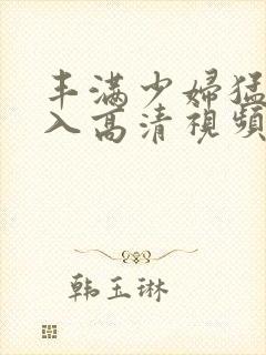 丰满少妇猛烈进入高清视频免费线播放