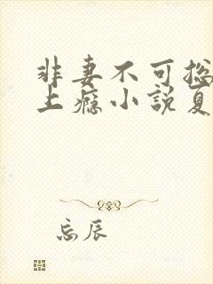 非妻不可总裁宠上瘾小说夏浅