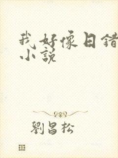 我好像日错人了小说