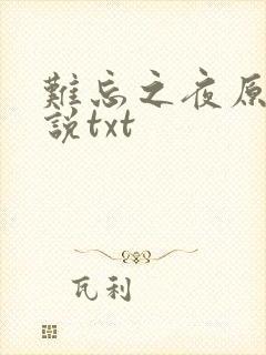 难忘之夜原著小说txt