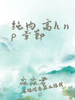 纯肉 高h np 章节