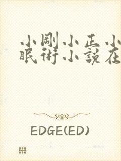 小刚小正小柔催眠术小说在线阅读