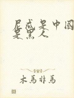 尼成是中国人还是黑人