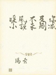 暖风不及你情深小说未删减完整版