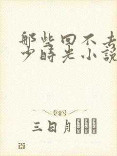 那些回不去的年少时光小说无弹窗