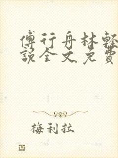 傅行舟林轻轻小说全文免费阅读