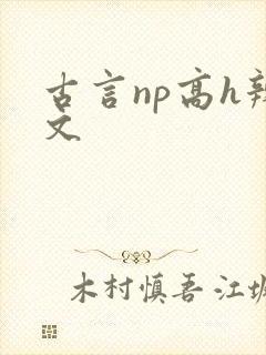 古言np高h辣文