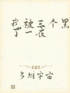 我被三个黑人操了一夜