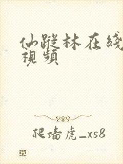 仙踪林在线观看视频