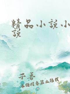 精品小说小强小说