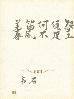 羌笛何须怨杨柳春风不度玉门关赏析