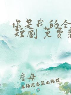 你是我的全世界 短剧 免费观看