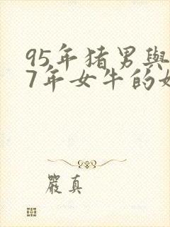 95年猪男与97年女牛的姻缘如何