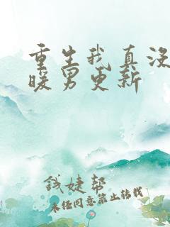 重生我真没想当暖男更新