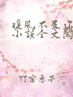 暖风不及你情深小说全文阅读