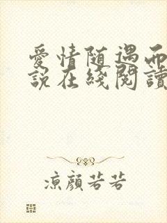 爱情随遇而安小说在线阅读