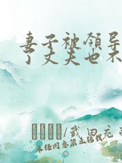 妻子被领导欺负了丈夫也不敢吭声是