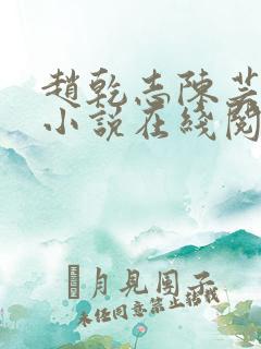 赵乾志陈芸穿越小说在线阅读